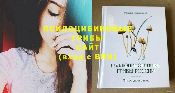 ECSTASY Михайловка