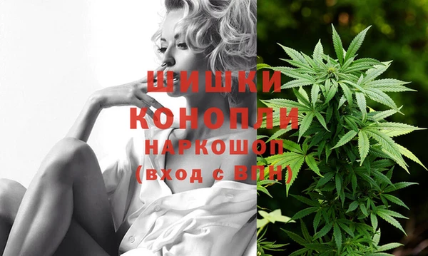 МДПВ Михайлов