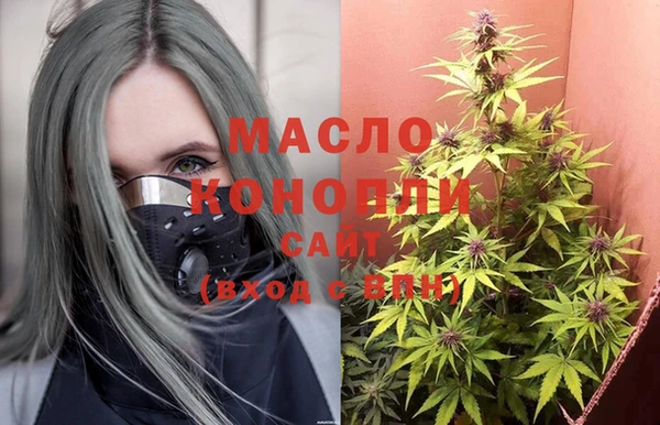 МДПВ Михайлов
