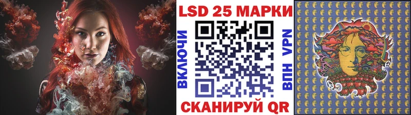 darknet как зайти Нелидово Марки 25I-NBOMe 1500мкг